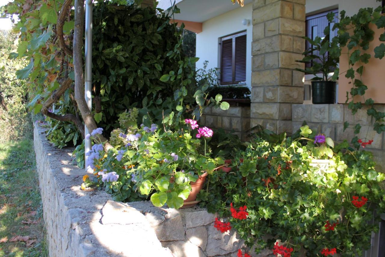 Family Friendly Seaside Apartments Kozino, Zadar - 5749 Petrcane Εξωτερικό φωτογραφία
